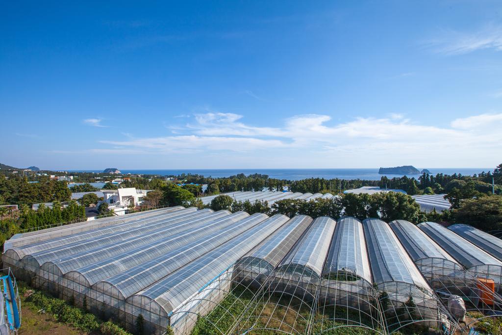 Fellisia Hotel Seogwipo Esterno foto